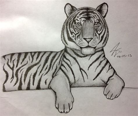 tiger pencil drawing easy.